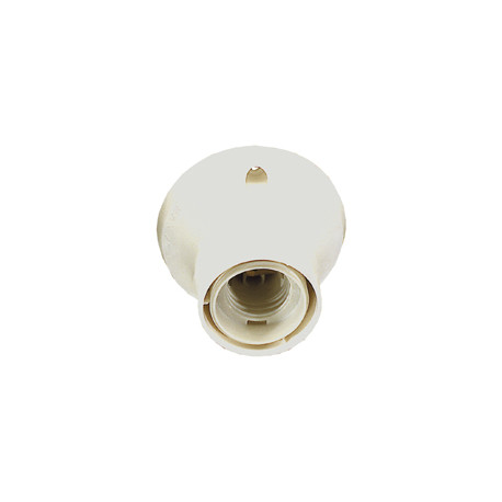 Socket E27 pour fixation murale blanc droit 100W