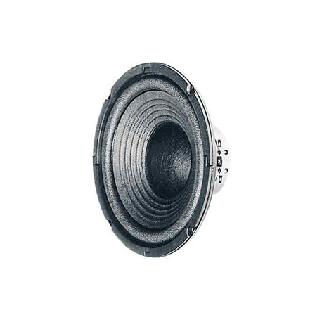 Visaton W200 - Haut-Parleur Woofer 8 O 80 W