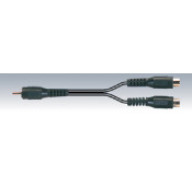 Cable 0.2m - Fiche male RCA/2 fiches femelles RCA