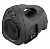 35W Portable Amplified System