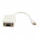 Adaptateur Mini Displayport vers VGA femelle pour Mac