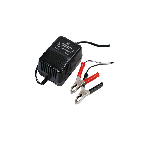 Charger for lead-accu's 2-6-12V