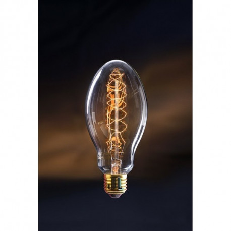 Jurassic Light - SHANNON- Ampoule Vintage E27 240 Lumen