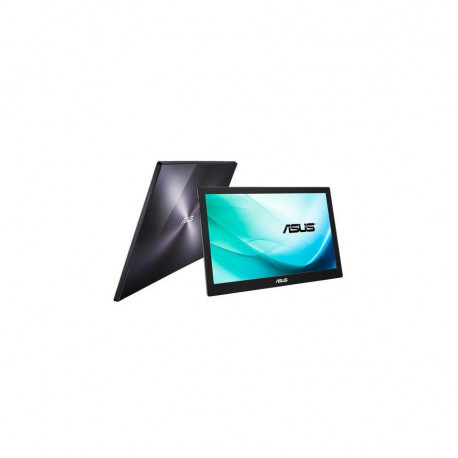 ASUS 39.6cm Prof.MB169B + Mobile Monitor USB 3.0 FHD