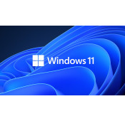 OEM MICROSOFT WINDOWS 11 HOME DVD - 64 BIT - FR