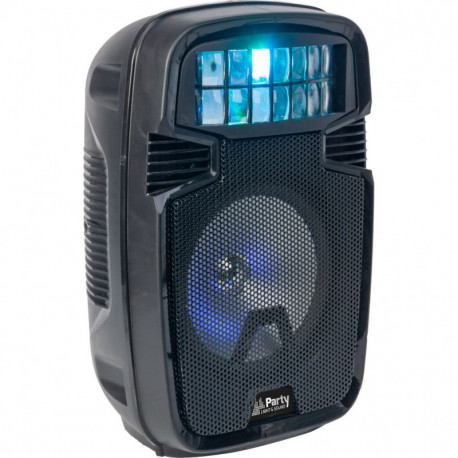 Stand-alone LED speaker with DERBY effect 8"/20cm