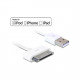 Delock Cable 30pin -- USB A 1.80m iPhone iPad iPod