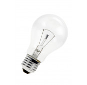 E27 A60 24V 60W Clear Bulb