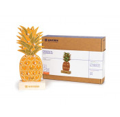 XL Soldeer Kit - ananas