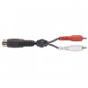 Cable 1.5m - Fiche male 5Pin DIN vers 2 fiches RCA male