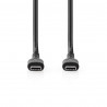 USB-C mannelijk - USB-C mannelijk kabel - 2m