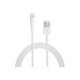 Apple Lightning to USB Cable 2M