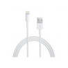 Apple Lightning to USB Cable 2M