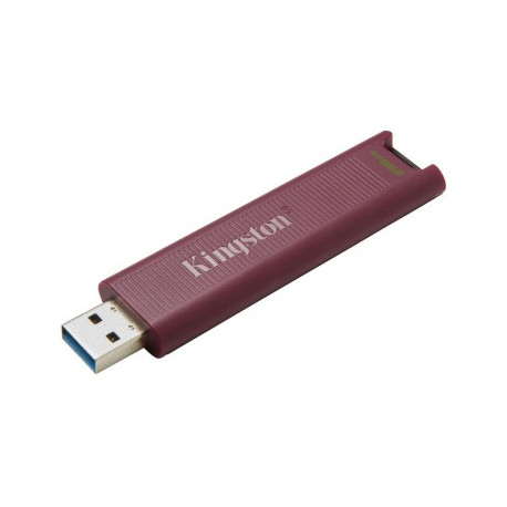 Kingston DataTraveler Max - Clé USB-A - 256 GB