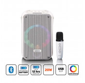 Karaoke system with Bluetooth®