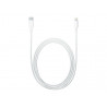 Apple USB-C to Lightning Cable 1M