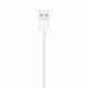 Apple USB-A to Lightning Cable 1m