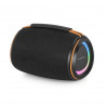 Draagbare Bluetooth-luidspreker 40W