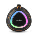 Haut-parleur Bluetooth 60W Portable