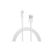 Apple Lightning to USB Cable 2M