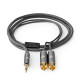 Stereo audio cable 3.5 mm male - 2x RCA male 2.00 m