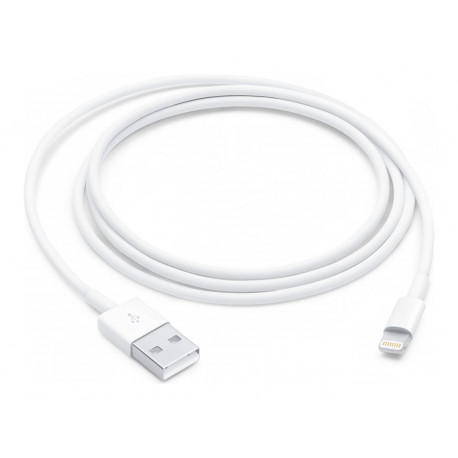 Apple Câble USB-A vers Lightning 1m