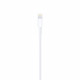 Apple Câble USB-A vers Lightning 1m